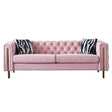 Modern velvet sofa PINK color