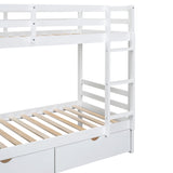 Twin-Over-Twin Bunk Bed with  a Tree Decor and Two Storage Drawers, White - Home Elegance USA