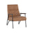 Coelho Lounge Chair - Home Elegance USA