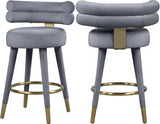 Meridian Furniture - Fitzroy Velvet Counter Stool Set Of 2 In Grey - 798Grey-C