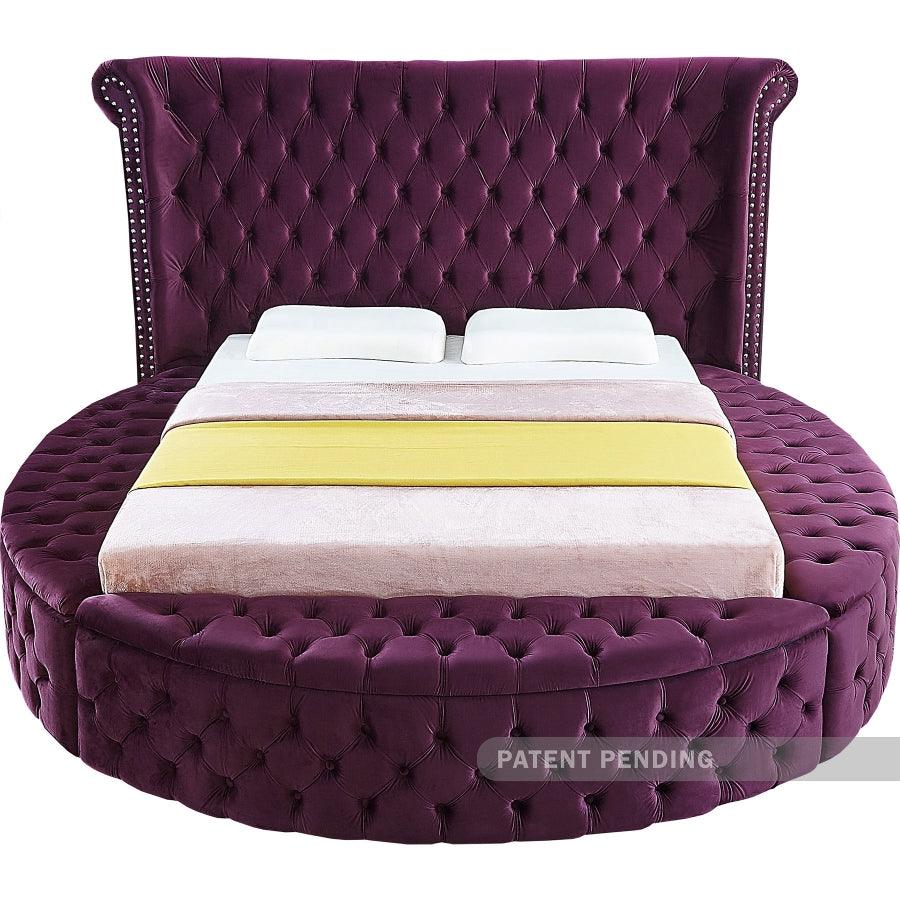 Meridian Furniture - Luxus Velvet Queen Bed In Purple - Luxuspurple-Q