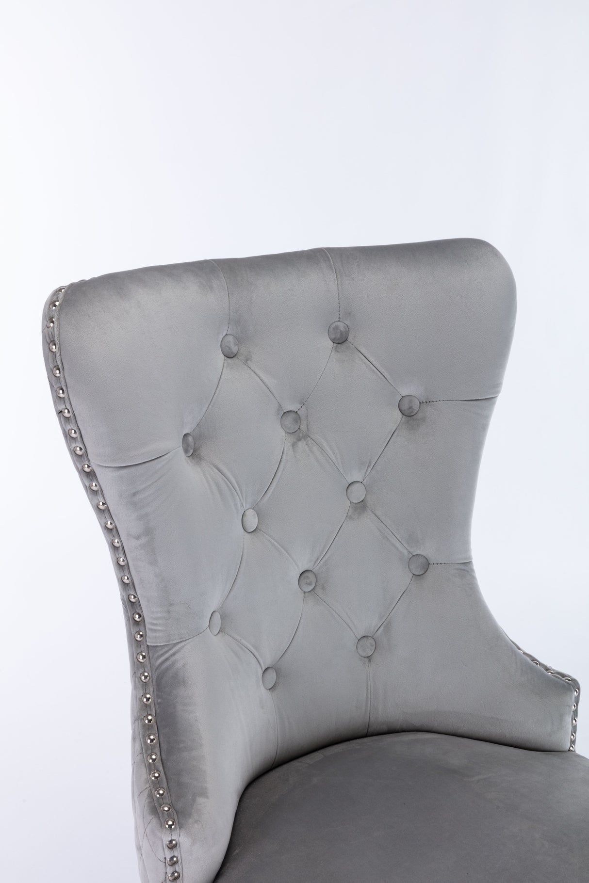 Simba Stainless Steel 2 Piece Chair Finish with Velvet Fabric in Light Gray - Home Elegance USA