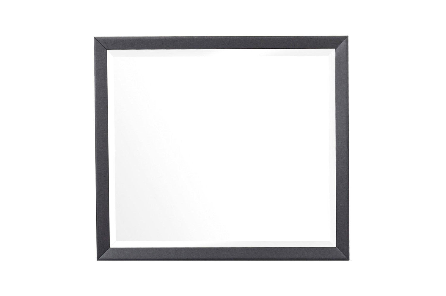 Homelegance - Raku Dresser With Mirror In Gray And Black - 1711-6