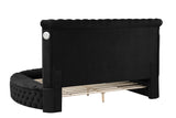 Hazel Queen Size Tufted Upholstery Storage Bed made with Wood in Black - Home Elegance USA