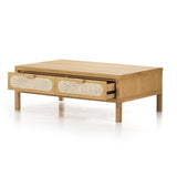 Four Hands Allegra Coffee Table