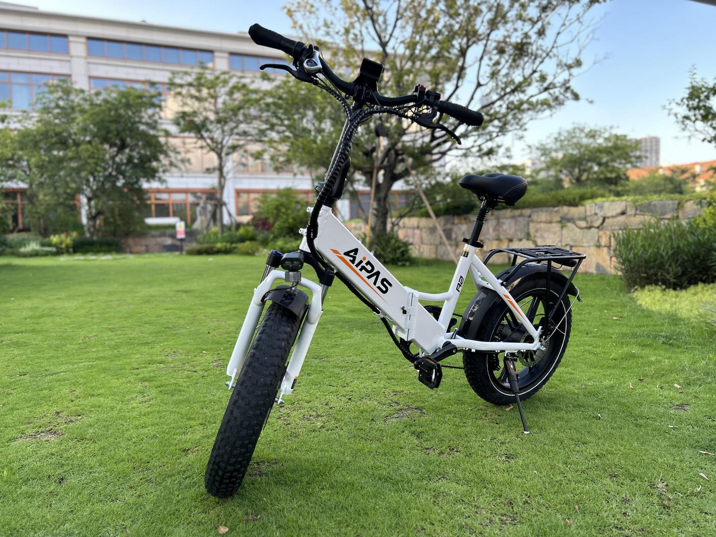 A2 ELITE Electric Bike for Adults
