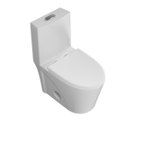 One Piece 1.1GPF/1.6 GPF Dual Flush Elongated Toilet