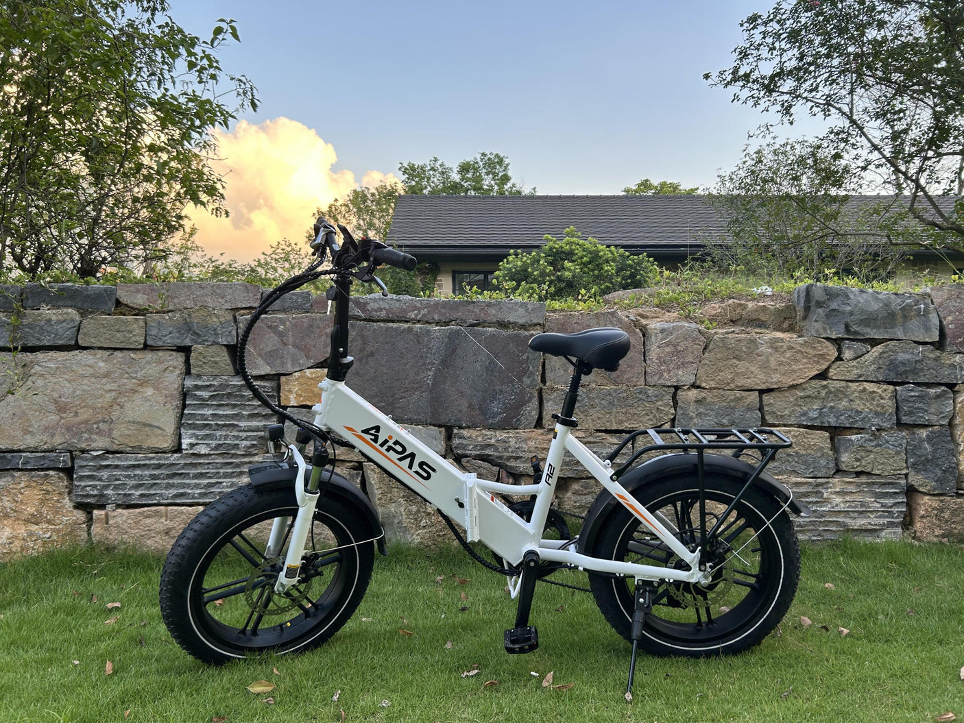 A2 ELITE Electric Bike for Adults