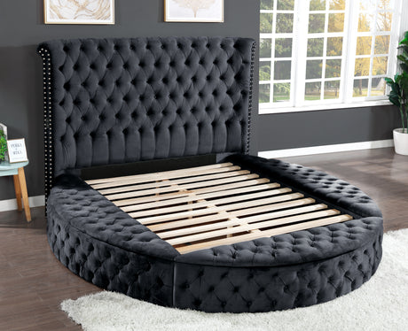 Hazel Queen Size Tufted Upholstery Storage Bed made with Wood in Black - Home Elegance USA