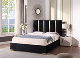 Contemporary Velvet Upholstered Bed, Solid Wood Frame, High-density Foam, Gold Metal Leg, Queen Size