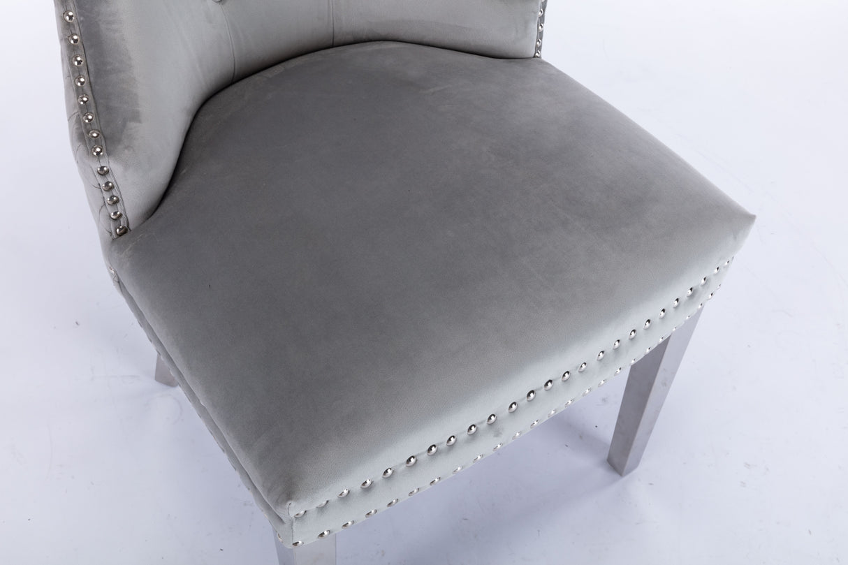 Simba Stainless Steel 2 Piece Chair Finish with Velvet Fabric in Light Gray - Home Elegance USA