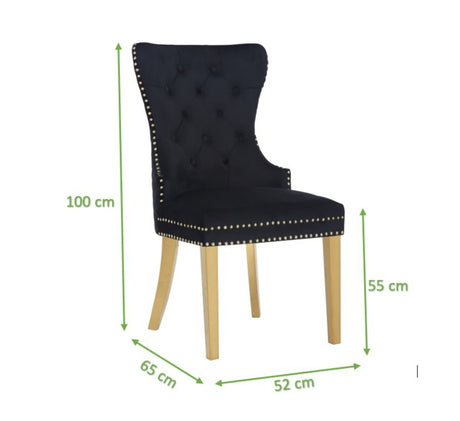 Simba Gold 2 Piece Dinning Chair Finish with Velvet Fabric in Black - Home Elegance USA