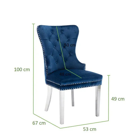 Simba Stainless Steel 2 Piece Chair Finish with Velvet Fabric in Blue - Home Elegance USA