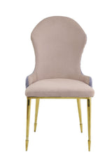ACME Caolan Side Chair (Set-2), Tan, Lavender Fabric & Gold  72469 - Home Elegance USA