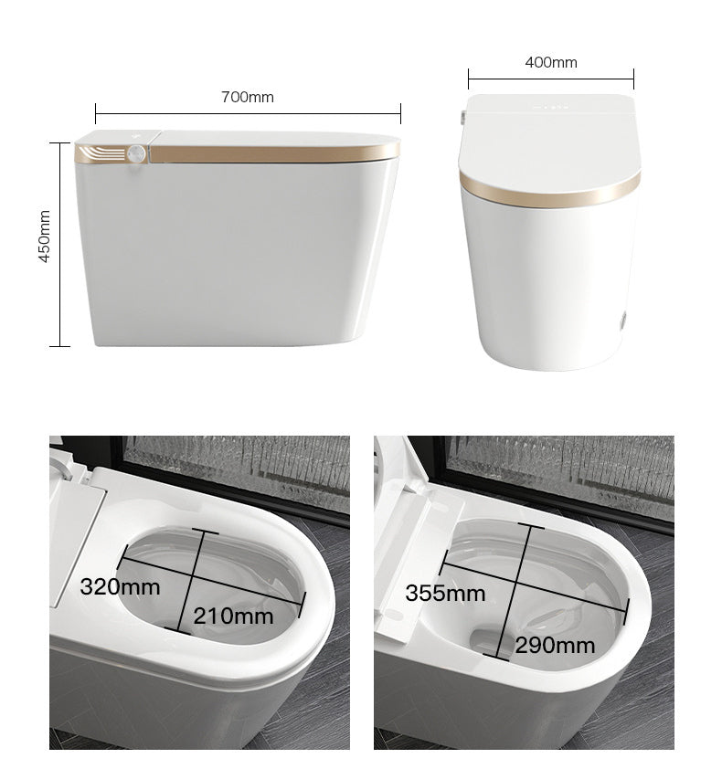 Luxury Smart Toilet with Auto Open/Close Lid, Auto Flush, Warm Water and Heated Seat, Modern Tankless Toilet with Remote Control