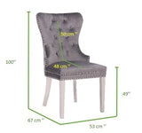 Simba Stainless Steel 2 Piece Chair Finish with Velvet Fabric in Dark Gray - Home Elegance USA