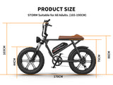 AOSTIRMOTOR new pattern Electric Bicycle 750W Motor 20" Fat Tire With 48V 13AH  Li-Battery