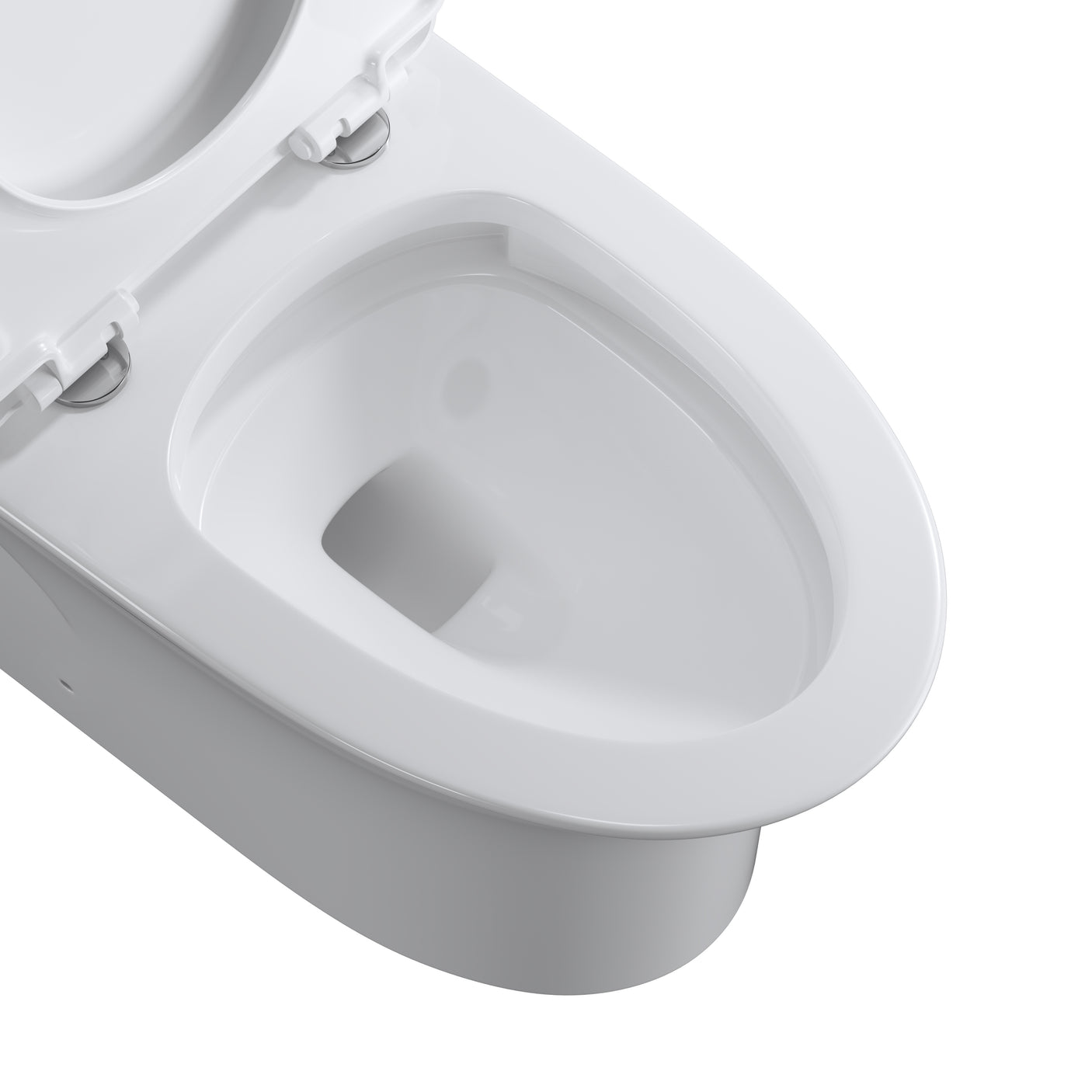 One Piece  Dual Flush Elongated Toilet