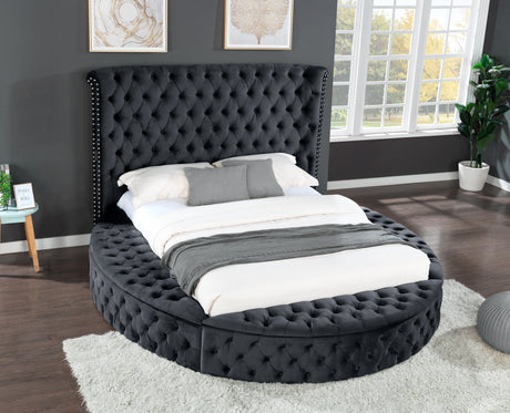 Hazel Queen Size Tufted Upholstery Storage Bed made with Wood in Black - Home Elegance USA