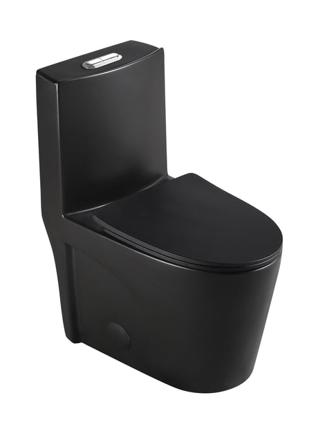 Dual Flush Elongated Standard One Piece Toilet with Comfortable Seat Height, Soft Close Seat Cover, High-Efficiency Supply,  black Toilet