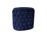 Afreen Button Tufted Chair Finished with Velvet Fabric Upholstery in Blue - Home Elegance USA