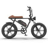 AOSTIRMOTOR new pattern Electric Bicycle 750W Motor 20" Fat Tire With 48V 13AH  Li-Battery