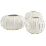 Arteriors Pompano Vase Set Of 3