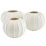 Arteriors Pompano Vase Set Of 3