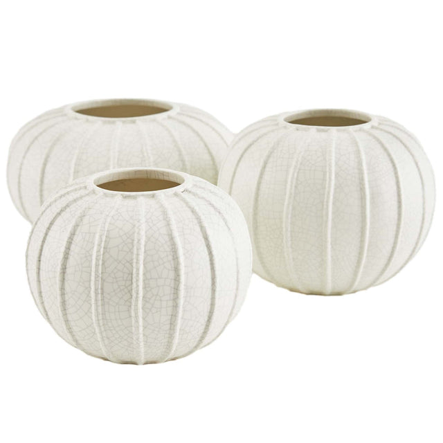 Arteriors Pompano Vase Set Of 3