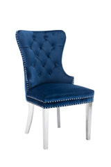 Simba Stainless Steel 2 Piece Chair Finish with Velvet Fabric in Blue - Home Elegance USA