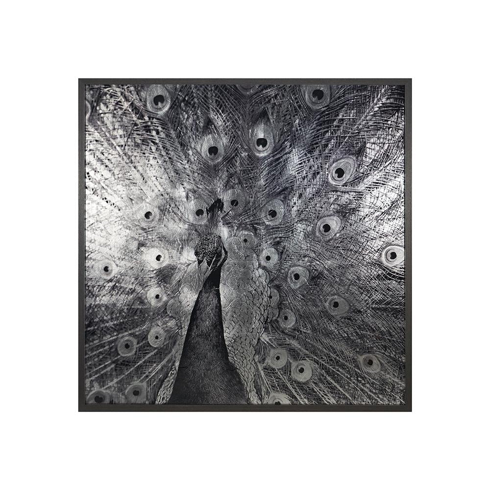 Brilliant Plumage - 72" x 48" - Charcoal Frame - Home Elegance USA