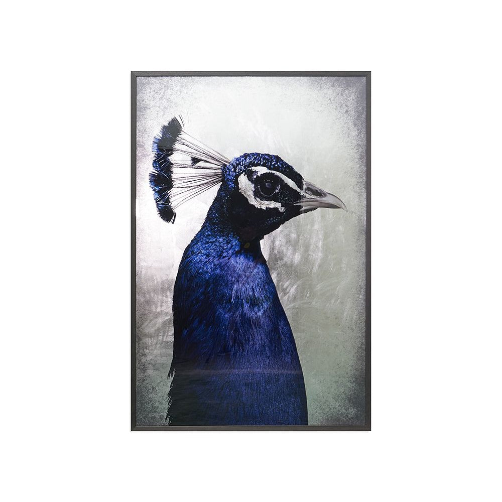 The Peacock - 48" x 72" - Charcoal Frame - Home Elegance USA