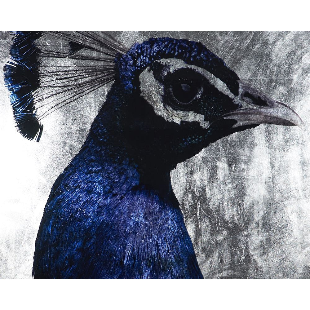 The Peacock - 48" x 72" - Charcoal Frame - Home Elegance USA