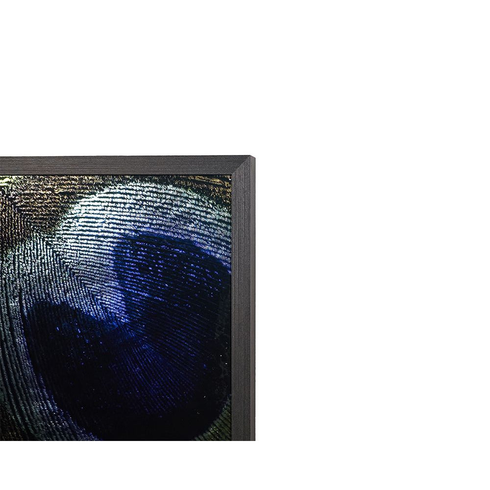 Treasure - 72" x 48" - Charcoal Frame - Home Elegance USA