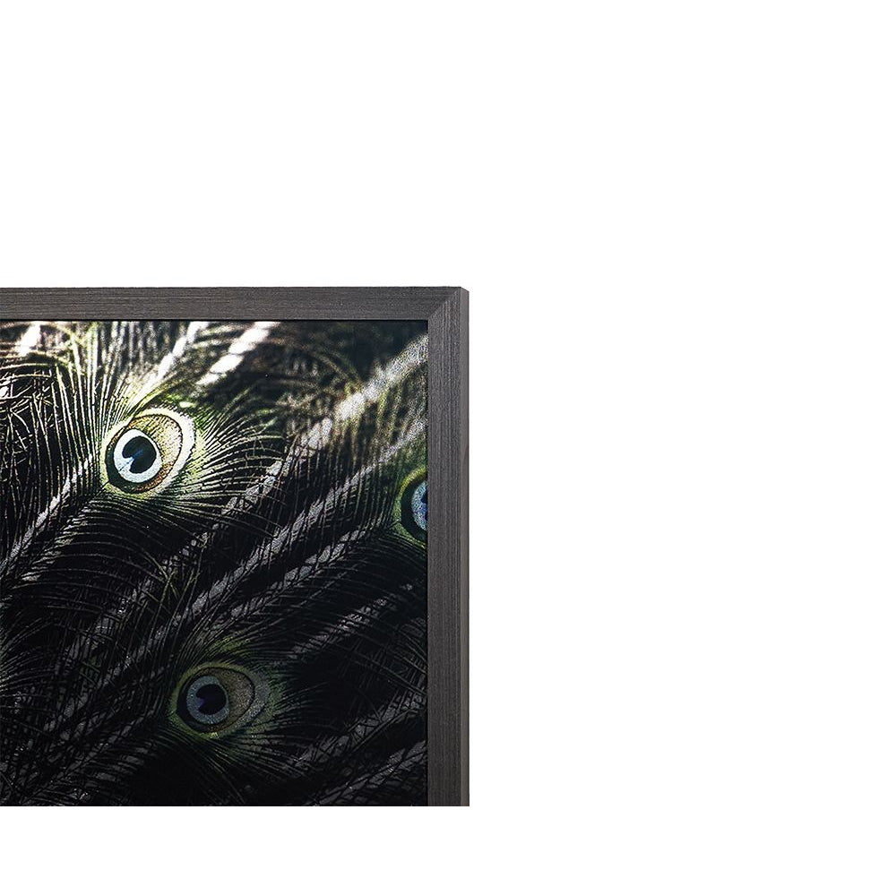 Brilliant Plumage - 72" x 48" - Charcoal Frame - Home Elegance USA
