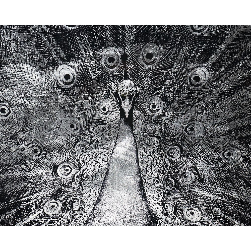 Silver Plumage - 72" x 48" - Charcoal Frame - Home Elegance USA