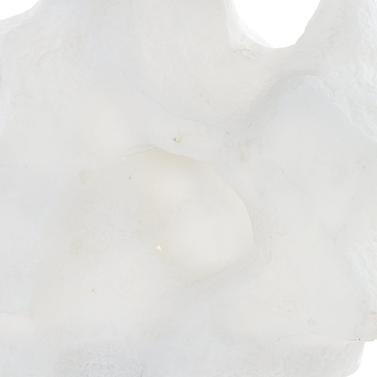 Uttermost Remnant Sculptures - Set Of 2 - Home Elegance USA