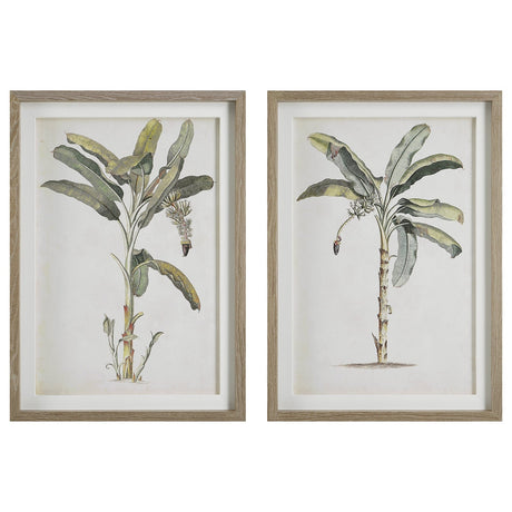 Uttermost Banana Palm Framed Prints - Set Of 2 - Home Elegance USA
