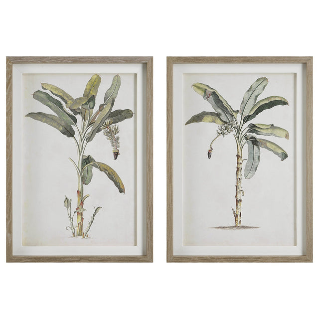 Uttermost Banana Palm Framed Prints - Set Of 2 - Home Elegance USA