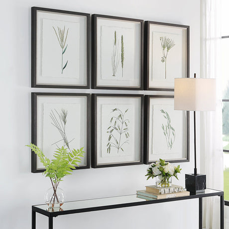 Uttermost Forest Finds Framed Prints - Set Of 6 - Home Elegance USA