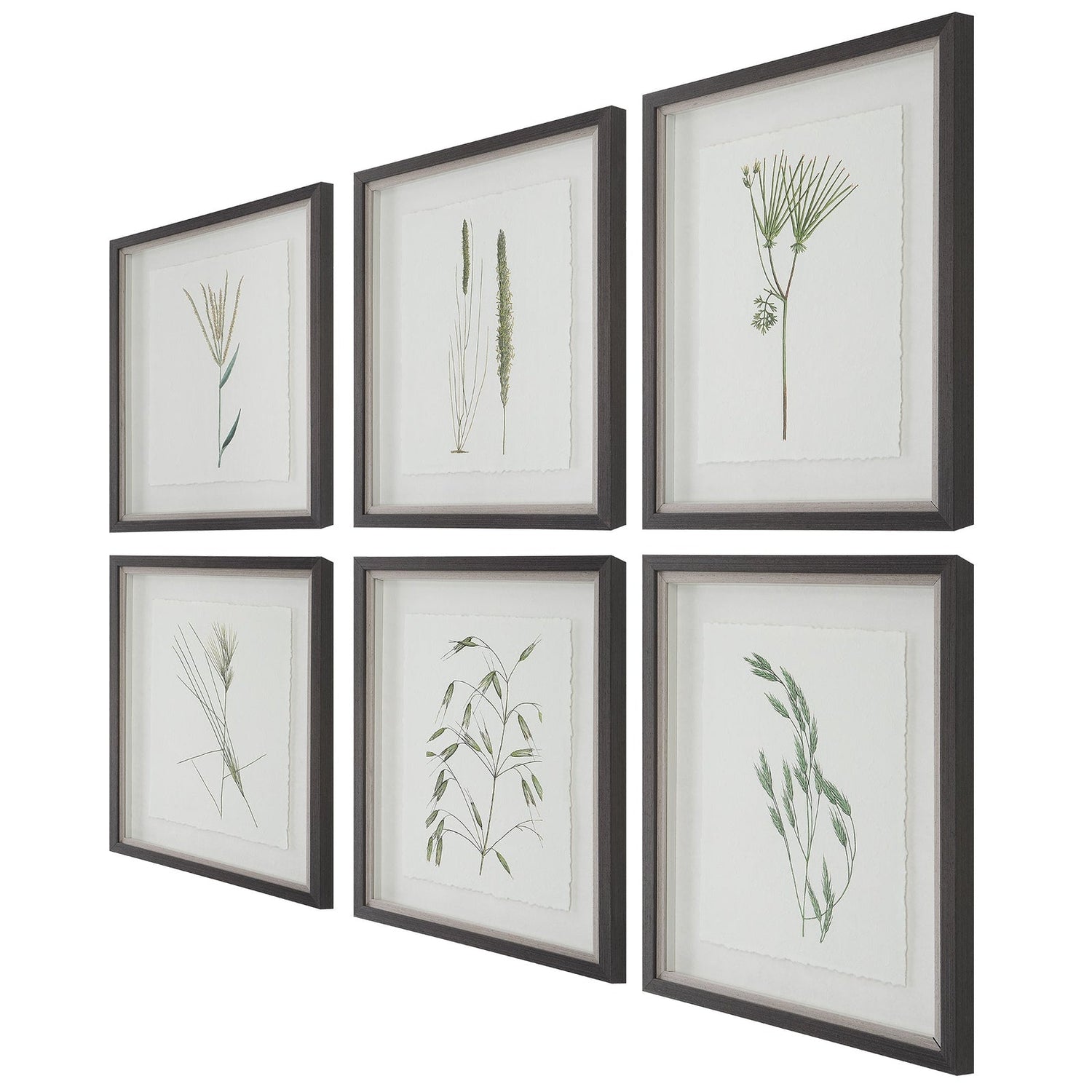 Uttermost Forest Finds Framed Prints - Set Of 6 - Home Elegance USA
