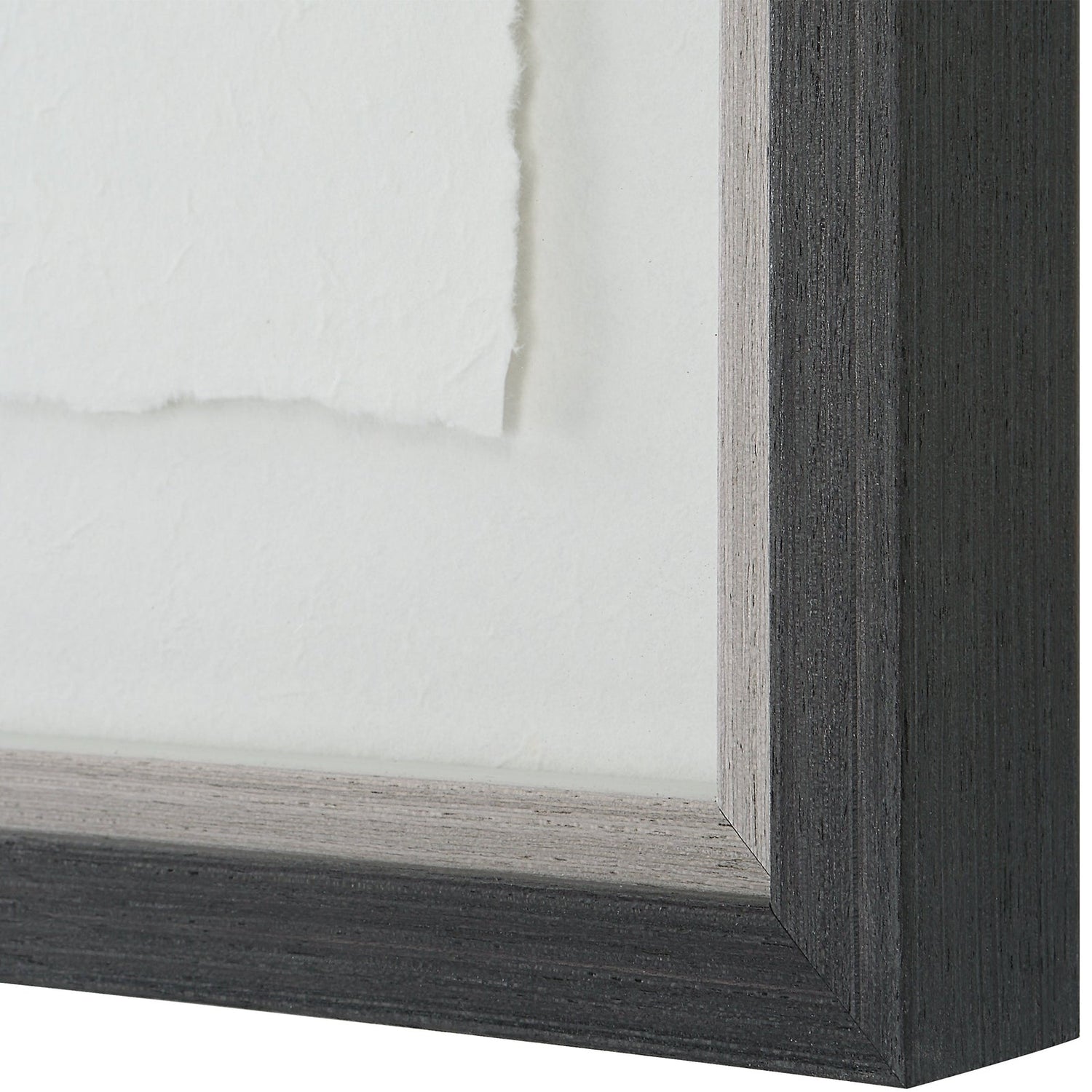 Uttermost Forest Finds Framed Prints - Set Of 6 - Home Elegance USA