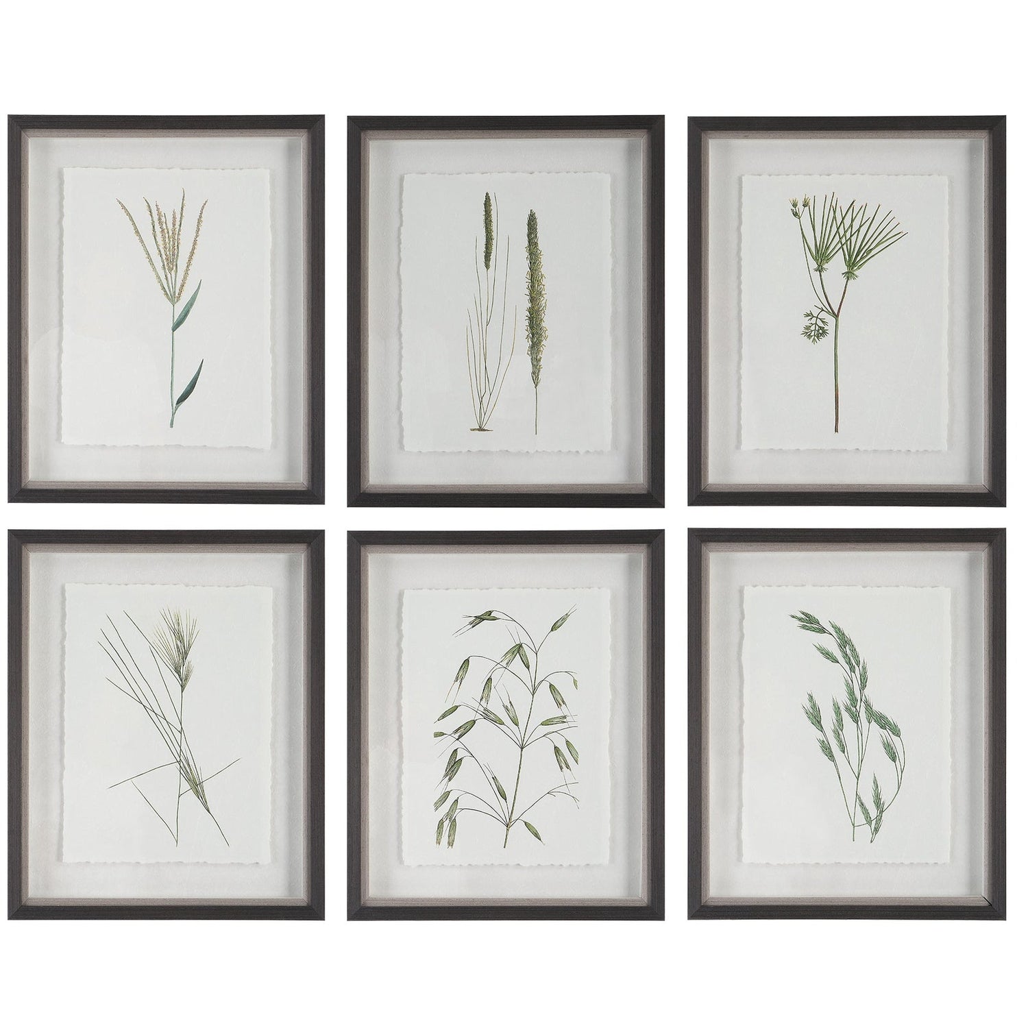 Uttermost Forest Finds Framed Prints - Set Of 6 - Home Elegance USA