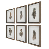 Uttermost Birds Of A Feather Framed Prints - Set Of 6 - Home Elegance USA