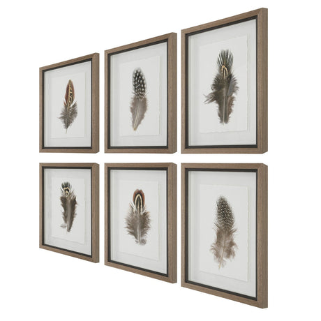 Birds Of A Feather Framed Prints - Set Of 6 | Uttermost | Home Elegance USA