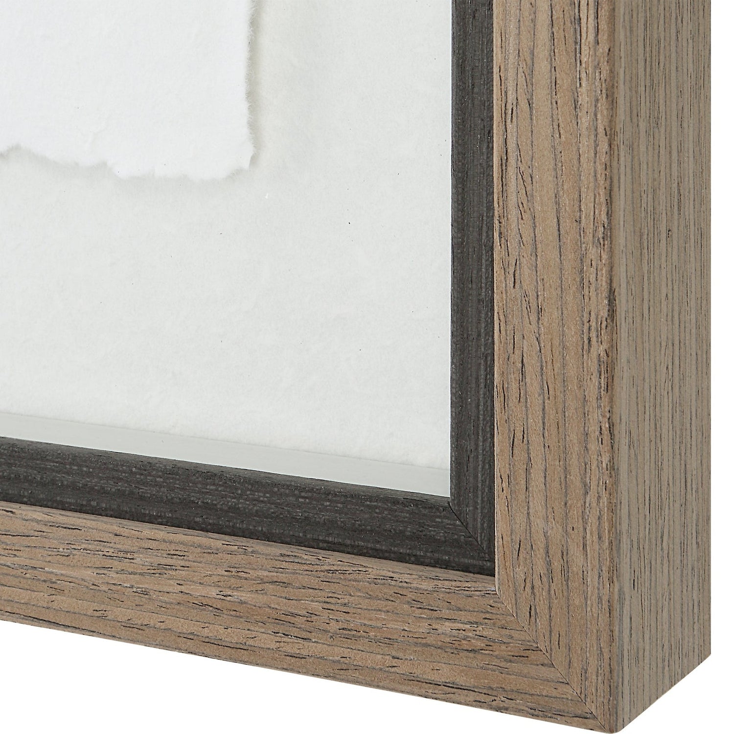 Birds Of A Feather Framed Prints - Set Of 6 | Uttermost | Home Elegance USA