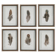 Birds Of A Feather Framed Prints - Set Of 6 | Uttermost | Home Elegance USA