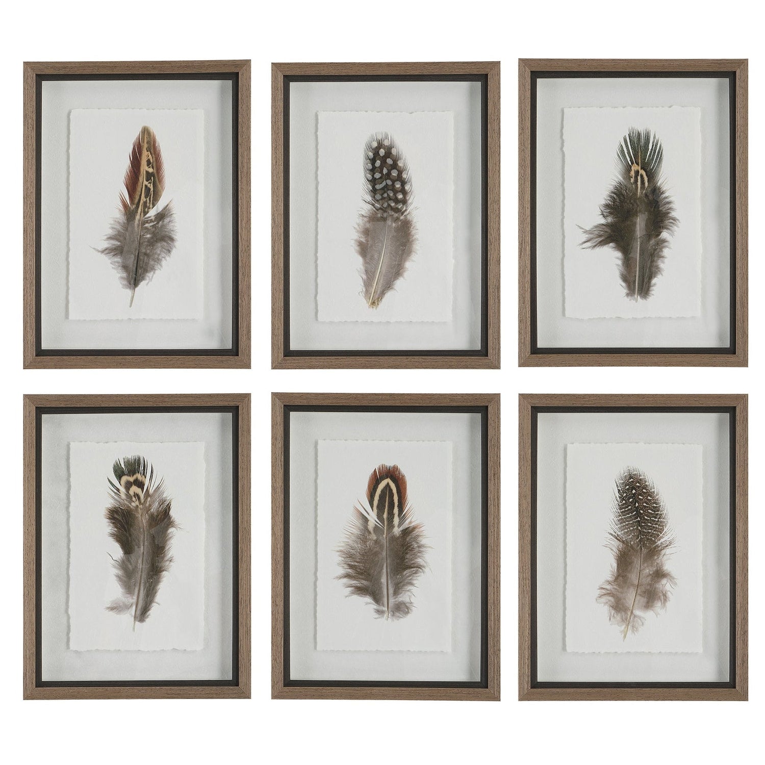 Birds Of A Feather Framed Prints - Set Of 6 | Uttermost | Home Elegance USA