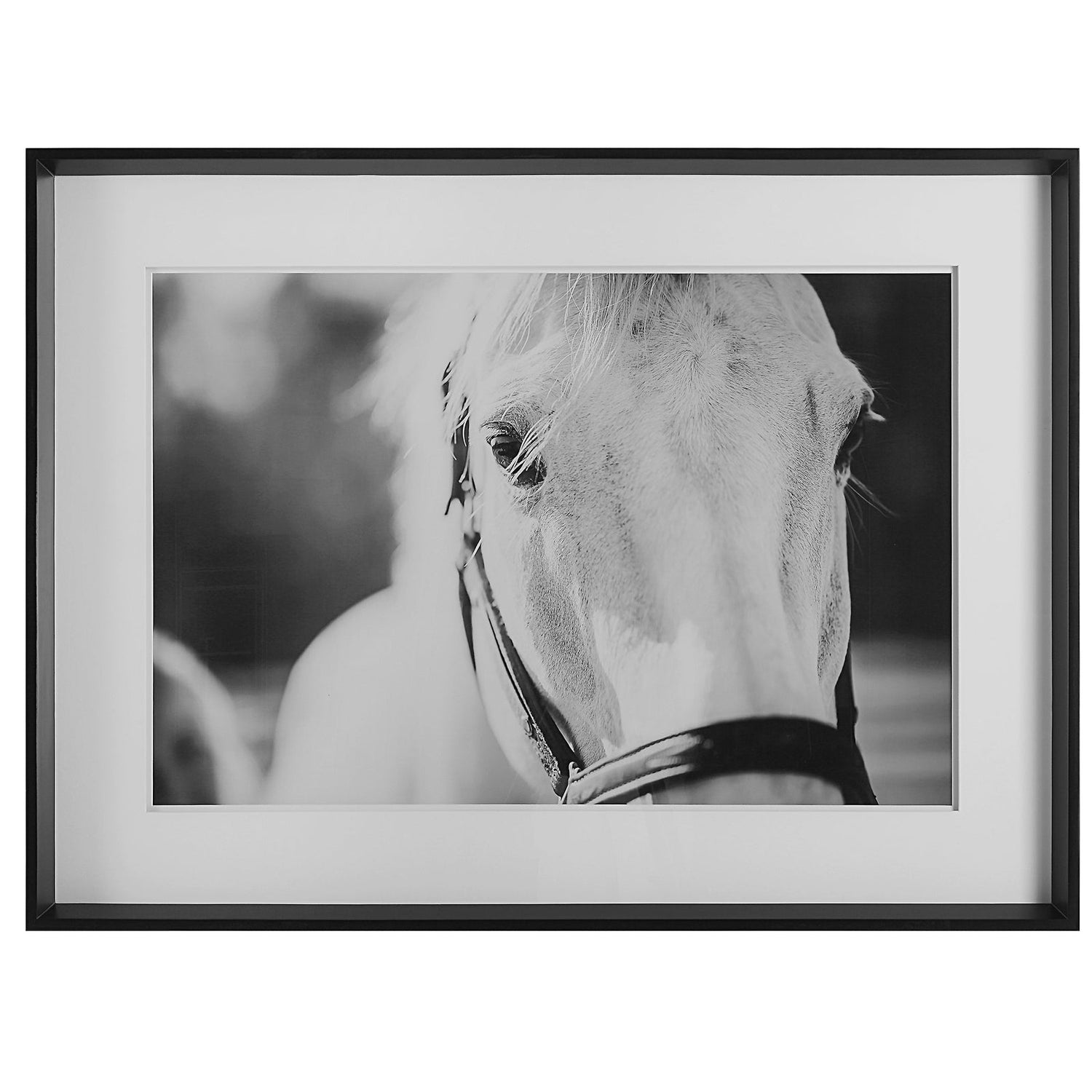 Uttermost Eyes On The Prize Framed Print - Home Elegance USA