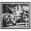 Apple Of My Eye Framed Print | Uttermost | Home Elegance USA